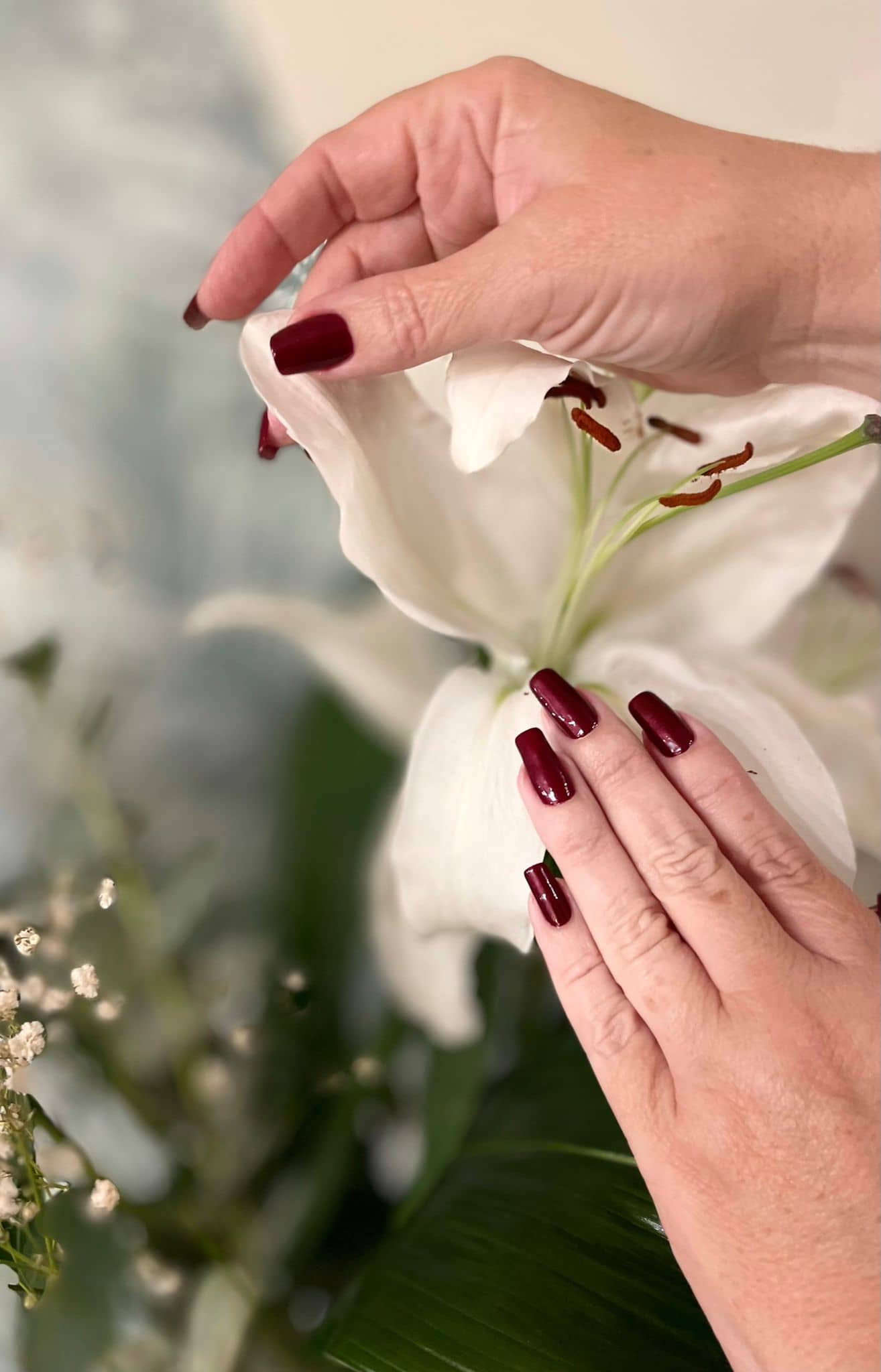 ROMA manicura